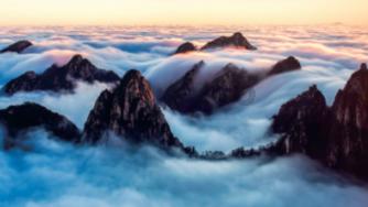 沪江开心词场